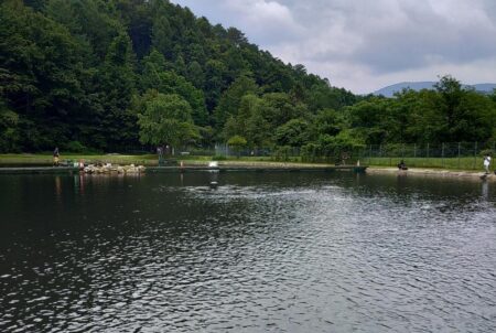 夏が来た！ ～平谷湖フィッシングスポット～